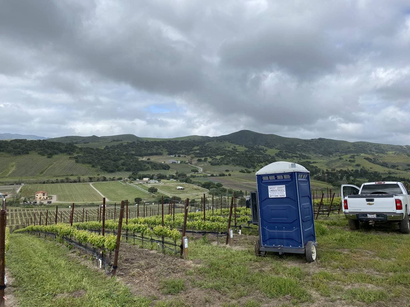 Vineyards & wineries